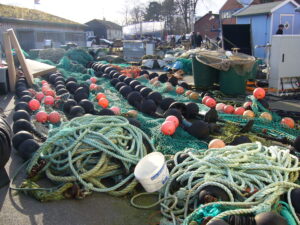 Fischernetze im Hafen Niendorf 